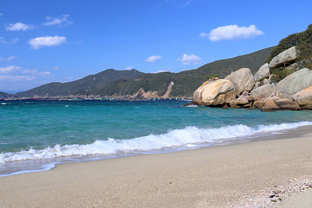 Waves crashing on Shirahama, Kashiwajima (Otsuki Town, Kochi Prefecture)
