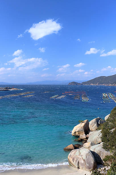 istock Shirahama on Kashiwajima, Winter sky (Otsuki Town, Kochi Prefecture) 2207076939