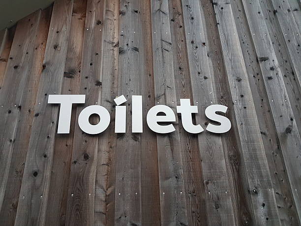 istock Toilets sign, Luss, Scotland 2207078889