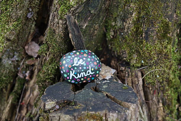 istock Tree stump with moss growing in forest with be kind kindness rock 2207078892