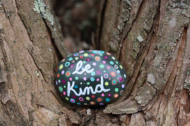 istock Be kind kindness rock nestled in tree with lichen on bark 2207078894
