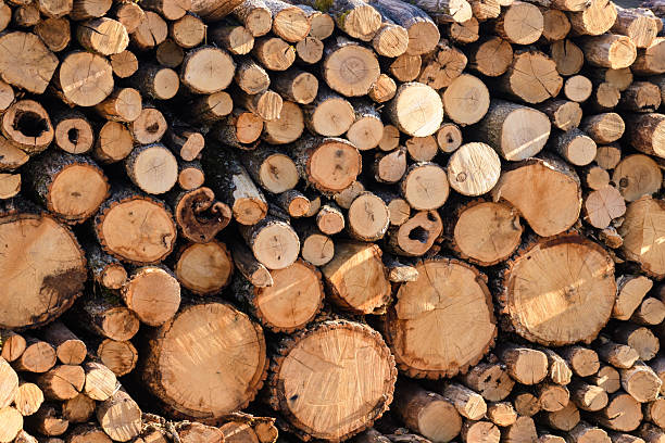 istock Neatly Stacked Firewood prepared for winter 2207079337