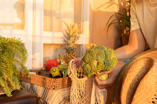 unrecognizable Farmer holding fresh broccoli at sunset on balcony garden