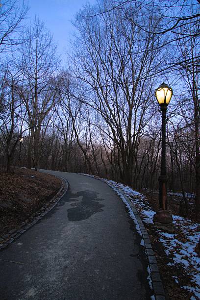 The teiled road in the night park with lanterns in autumn. Benches in the park during the autumn season at night. Illumination of a park road with lanterns at night. Mariinsky Park. Kyiv