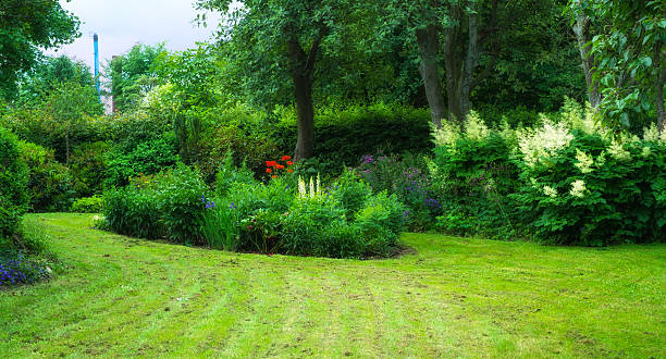 istock Tranquil garden with lush greenery, flowers, and a lawn 2207090848