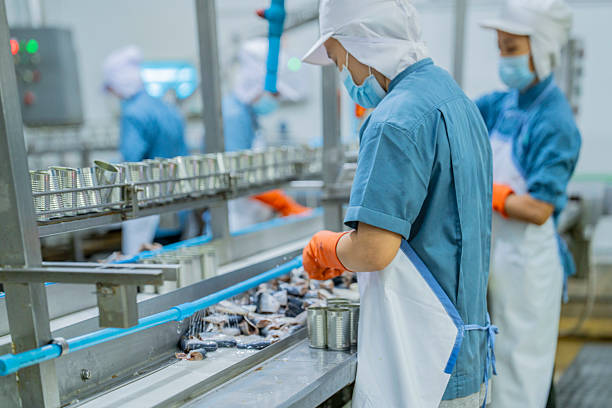 istock A production line worker operating under strict health and safety guidelines, ensuring the quality of canned goods in a modern food processing facility. 2207101326