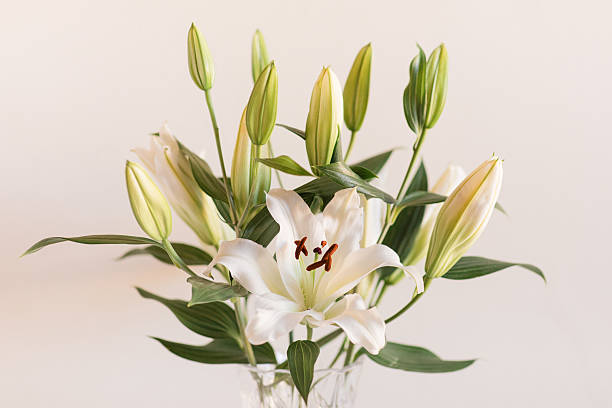 istock Classy Soft White Easter Lily Flowers in a Vintage Crystal Vase with a Neutral Background 2207102720