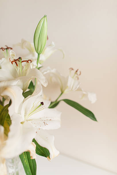 istock Classy Soft White Easter Lily Flowers in a Vintage Crystal Vase with a Neutral Background 2207102771