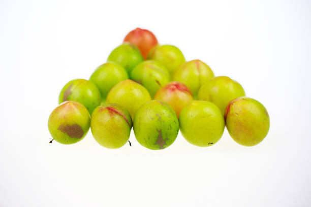 Green apples hang from a fruit tree surrounded by vibrant leaves, illuminated by sunlight. Capturing nature's bounty and the essence of delicate apple fruit-bearing Latin flora in a serene outdoor setting.