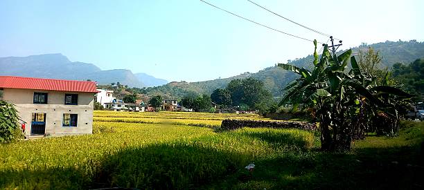 istock Beautiful paddy field.Beautiful paddy field.Beautiful paddy field. 2207106904