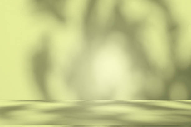 istock Studio style background wall decoration presentation uses white and green tones. with shadows cast from a nearby window, concept creating a decorative 2207113356