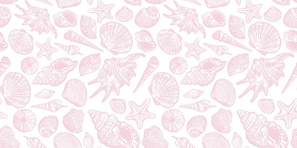 Pink Shell Patterns 2,200+ Pink Conch Shell Stock Photos, Pictures & Royalty-Free Images ...
