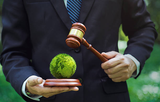 istock Law world for environmental regulation, sustainable environment conceptworld. 2207120590