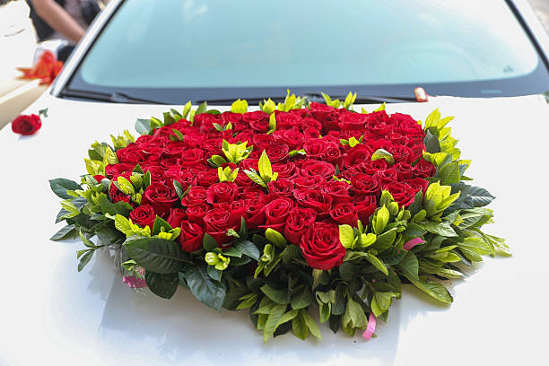 A close-up of pink roses with decorative golden elements and sunlight reflecting on a glossy surface. Represents romance, love, and elegance.