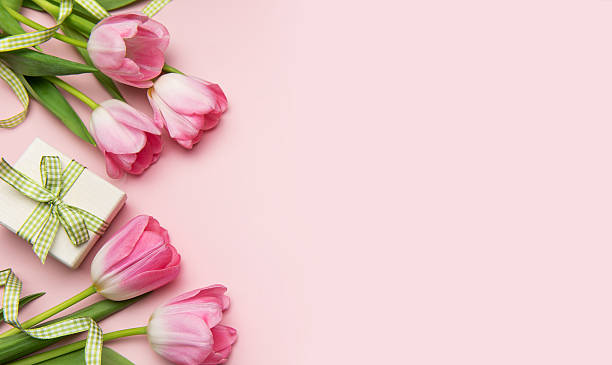 Pink tulips and gift box creating a spring themed flat lay on pink background