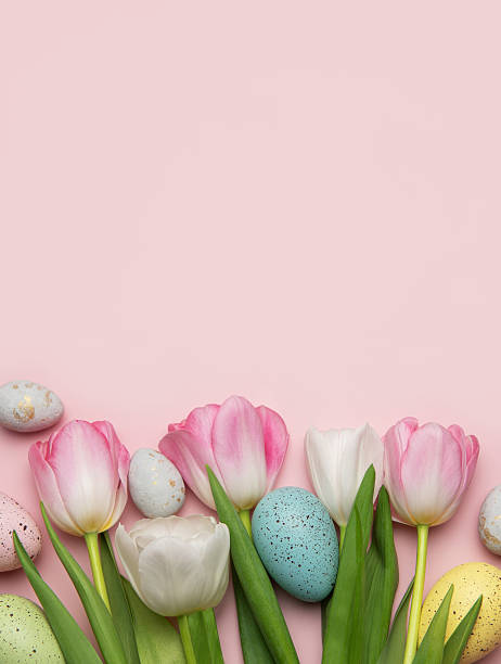 istock Easter eggs and tulips creating a festive spring border on pink background 2207126629