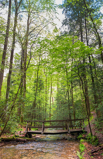 istock Big South Fork National River and Recreation Area 2207128367
