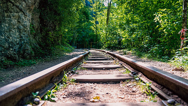istock railway in jungle forest in thailand without people 2207128828