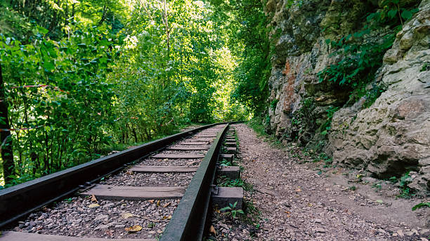 istock railway in jungle forest in thailand without people 2207128866