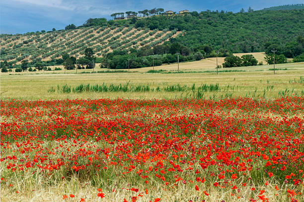 Umbria is a region of central Italy.The region is characterized by hills, mountains, valleys, lakes... It is the only landlocked region of Italy.