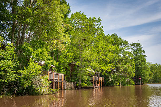 Lake Fausse Pointe State Park in Louisiana