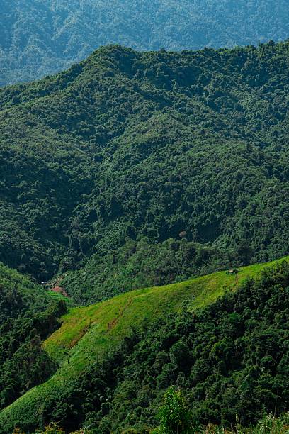 istock Lush green hills under a clear blue sky. 2207133859