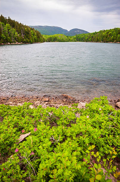 istock Echo Lake at Acadia National Park 2207134613