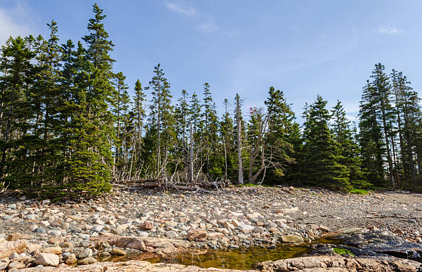 istock Rocky Coastline, Acadia National Park 2207136503