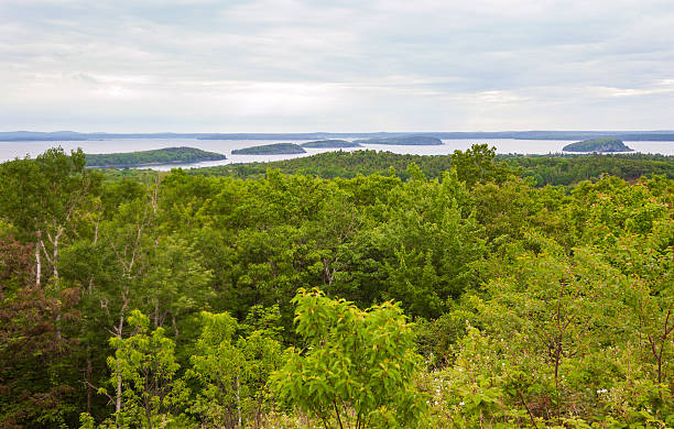 istock Cadillac Mountain at Acadia National Park 2207138175