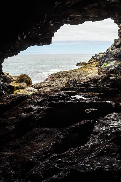 istock Anemone Cave at Acadia National Park 2207138245