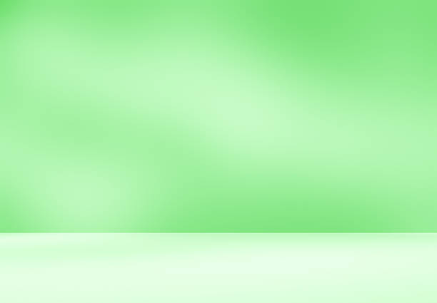 istock Empty green room studio with sunlight effect shadow of leaves. 2207138645