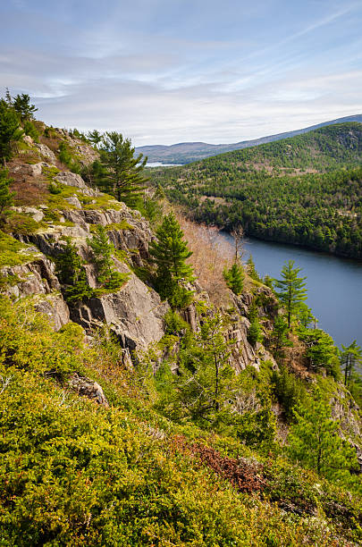 istock Cliff Overlook at Acadia National Park 2207138757