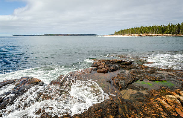istock Rocky Coastline, Acadia National Park 2207139590