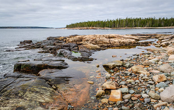 istock Rocky Coastline, Acadia National Park 2207139606