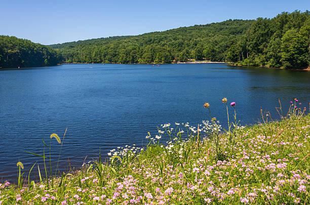 istock Cunningham Falls State Park, State park in Maryland 2207146467