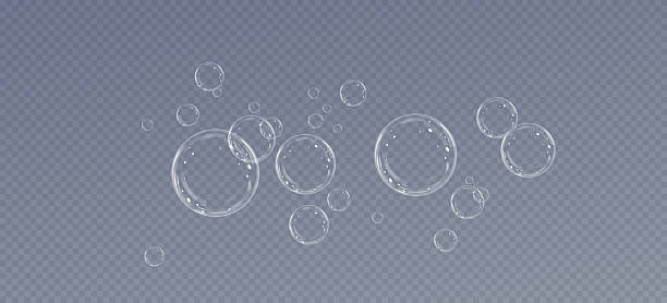 realistic soap bubbles.flying bubbles on a transparent background. - kabarcık fiziki yapı stock illustrations