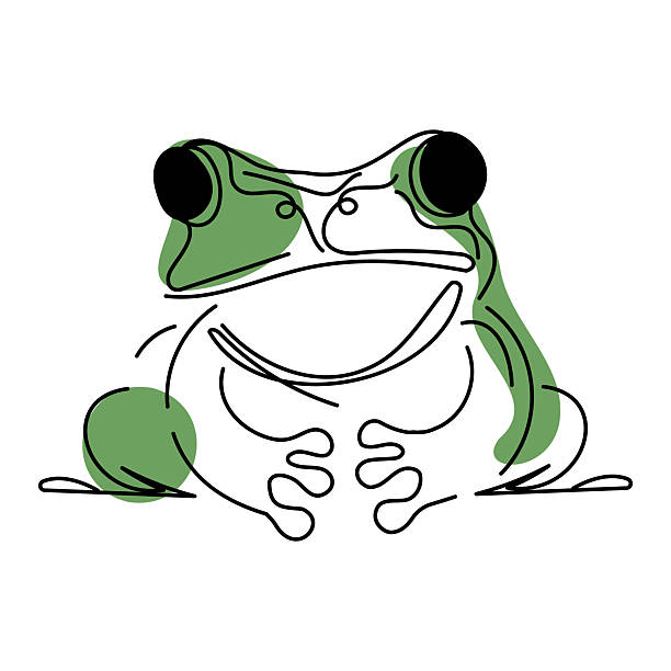 istock Creative line art illustration of a frog in a sitting position with bold eyes and green highlights, symbolizing nature and simplicity. 2207148158