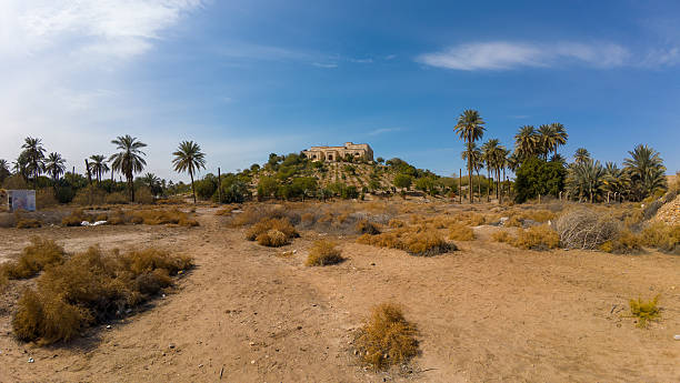 istock Desert Landscape with Palm Trees and Distant Building 2207149249