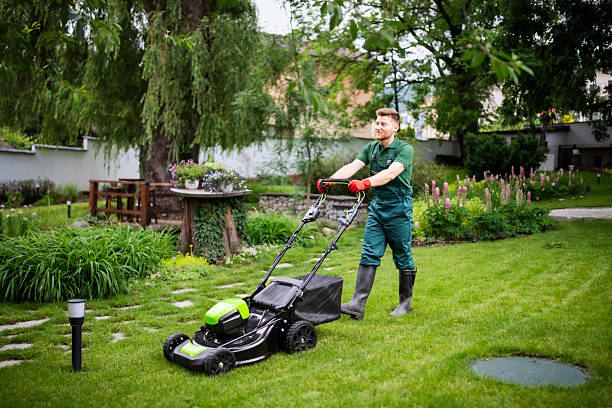 istock Professional gardener mows the lawn with a mower. 2207150753