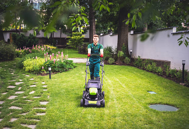 istock Professional gardener mows the lawn with a mower. 2207150754