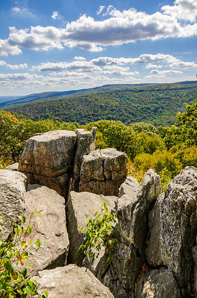 istock Overlook at Catoctin Mountain Park 2207151823