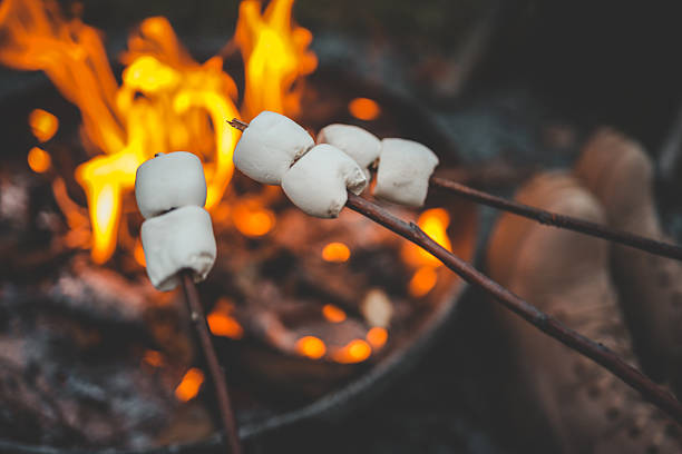 Group of people roasting marshmallows over a campfire, holding sticks with marshmallows near bright flames. Hot drinks with marshmallows are in their hands. Cozy outdoor moment