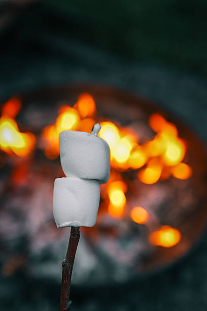 istock Two marshmallows on a stick being roasted over a campfire, with glowing flames in the blurred background. Cozy outdoor camping or picnic moment. 2207153721