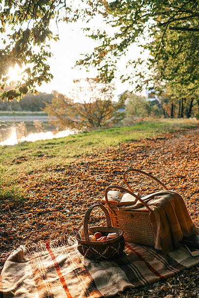 istock Autumn picnic setup with blanket, baskets, fruit, and books under trees near river at sunset. Cozy outdoor relaxation scene in warm light 2207153727