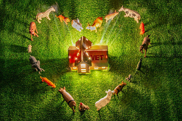 Metaphorical installation about gratitude to veterinary medicine