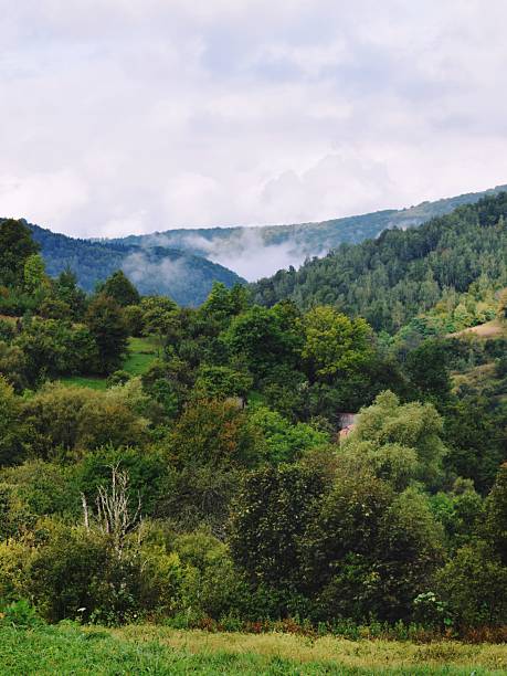 istock foggy morning at mountains 2207159870