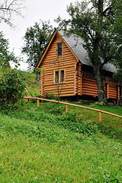 modern log house in the mountains on a clearing
