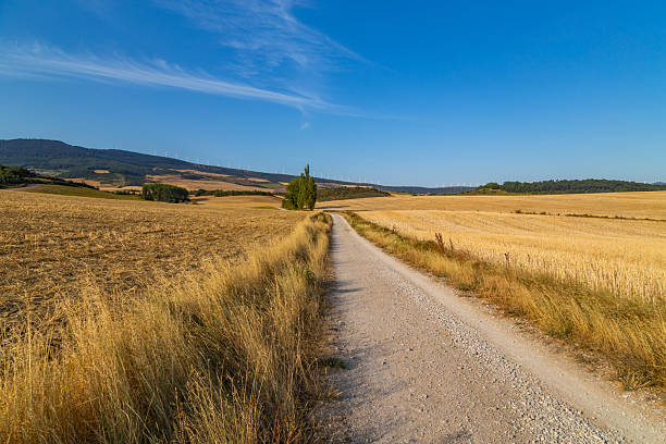 Along the Camino De Santiago, the Way of St. James pilgrimage route, Navarra, Spain.