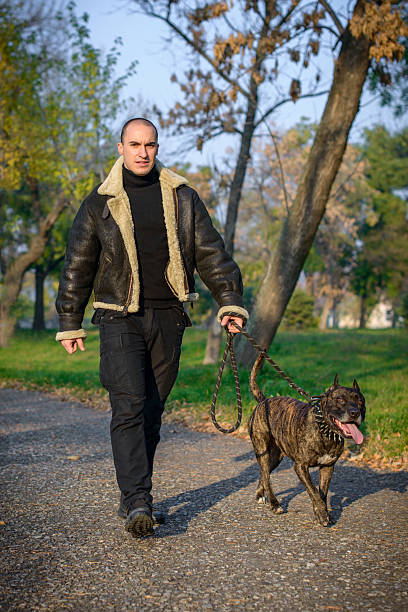 istock Man Walking a Dog on a Sunny Day in the Park 2207163546