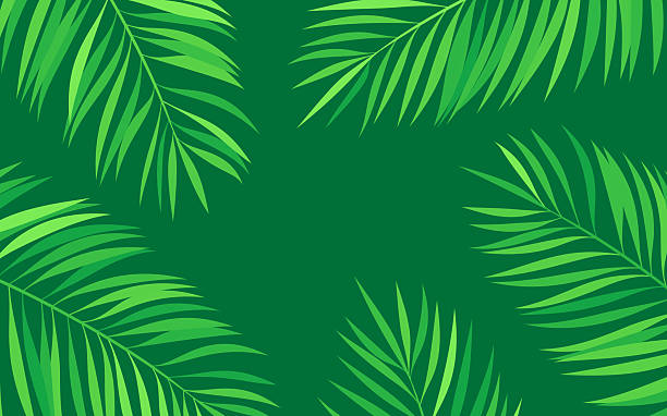 Palm Frond Tropical Abstract Background Palm front tropical abstract background. frond stock illustrations